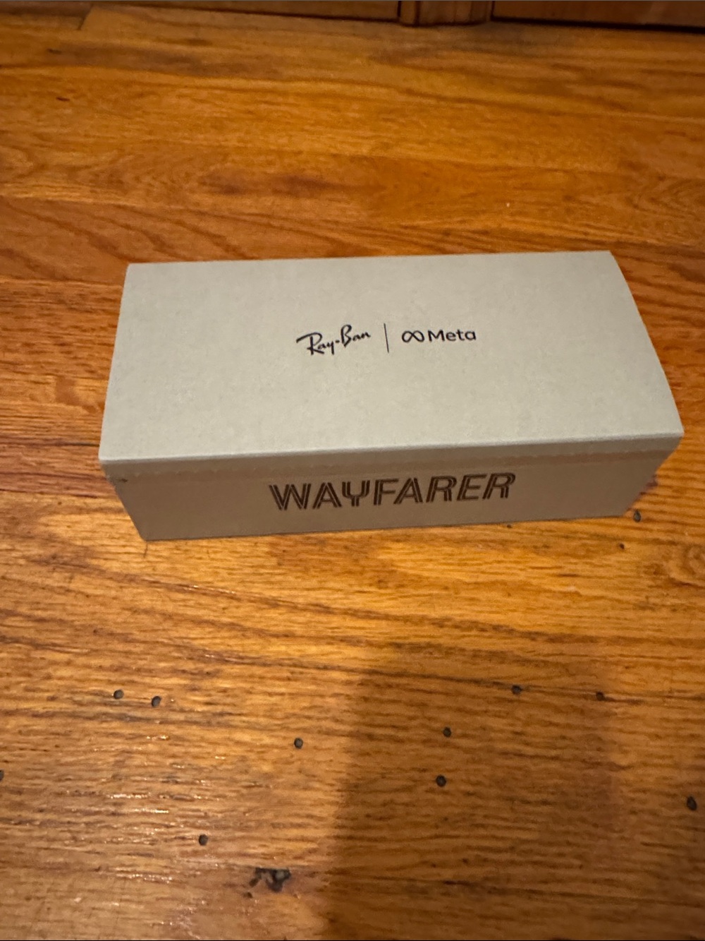Ray-Ban Meta Wayfarer RW4006 New in Box